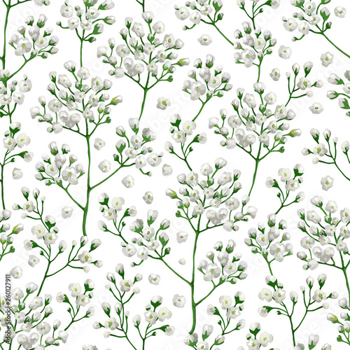 Seamless pattern with gypsophila flowers in watercolor style isolated on white background