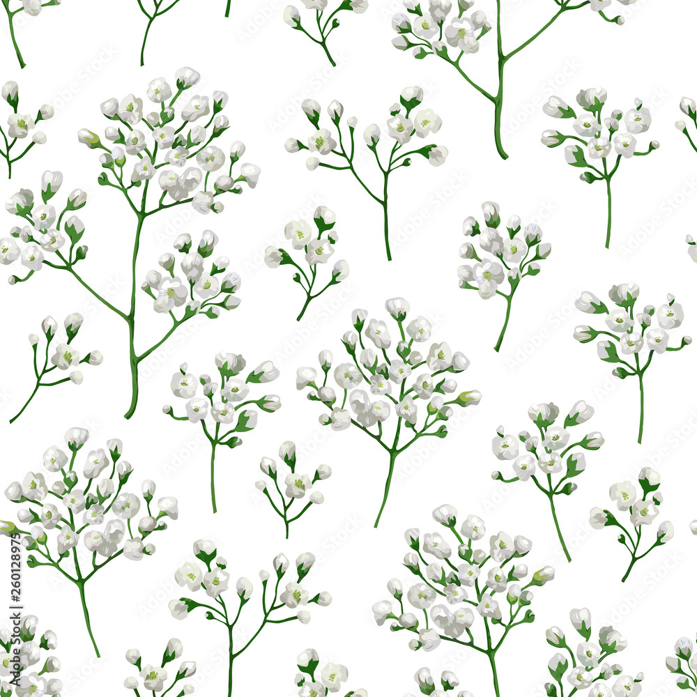 Seamless pattern with gypsophila flowers in watercolor style isolated on white background