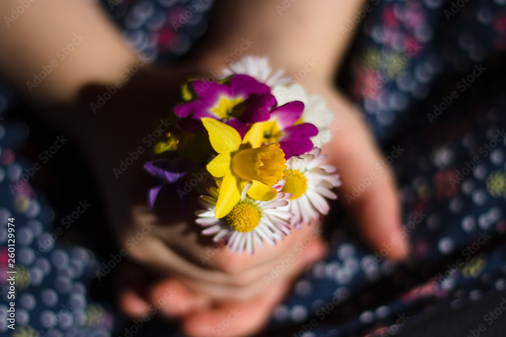 Obraz na płótnie mały bukiet wiosennych kwiatów w rączkach dziewczynki w salonie
