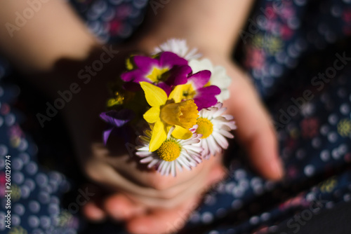 mały bukiet wiosennych kwiatów w rączkach dziewczynki