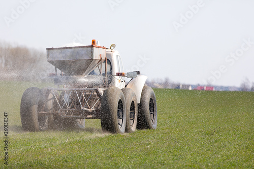 Farmer fertilizing winter crops land with nitrogen, phosphorus, potassium fertilizer photo