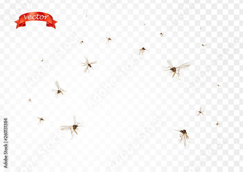 Flying mosquitoes flock in air isolated promo. Insect mosquito, gnat and pest illustration for repellent oil, spray and patches ads, poster, sign. Viruses and diseases spreading medical vector concept