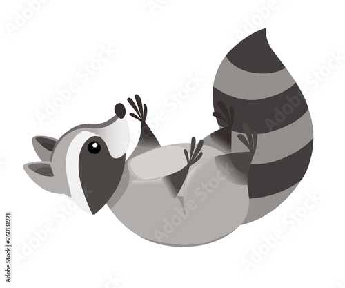 Cute cartoon raccoon lies on his back. Cartoon animal character design. Flat vector illustration isolated on white background