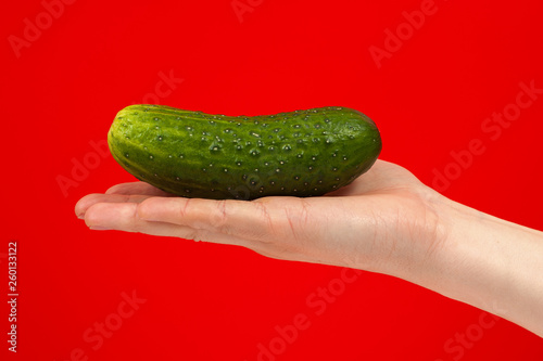 Ripe juicy delicious cucumber in hand isolated on red background. Healthy eating and dieting concept