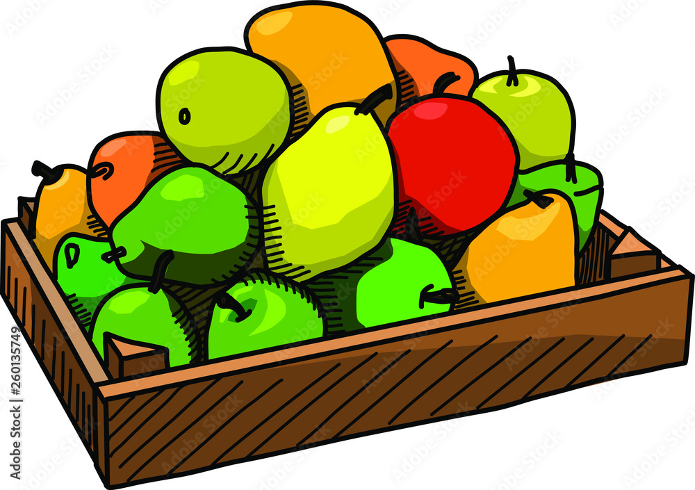 Fruits in the wooden box. Vector