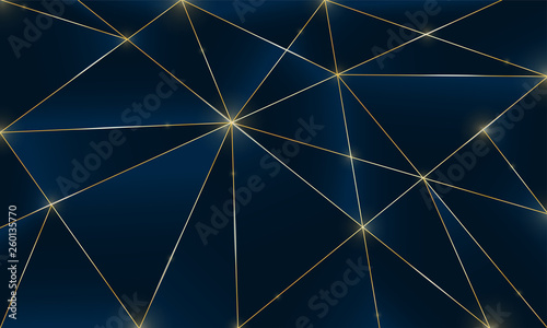 Blue premium background with luxury dark polygonal pattern and silver triangle lines. Low poly gradient shapes luxury golden platinum lines vector. Rich background for poster premium triangles design