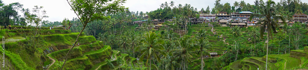 Panaromic view of Tegallalang Rice Terrace fields - Ubud - Bali - Indonesia Panaromic view of Tegallalang Rice Terrace fields - Ubud - Bali - Indonesia