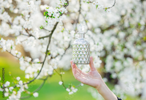 Female hand holding perfume bottle near flowering tree. photo