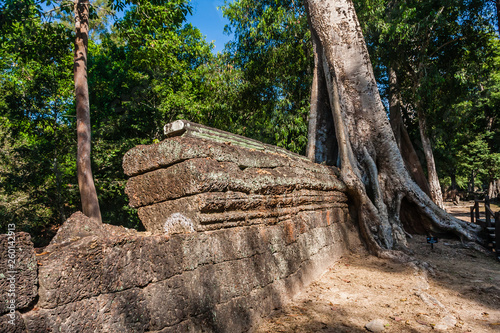The ruins of Ta Prohm Buddist Temple, Siem Reap, Cambodia