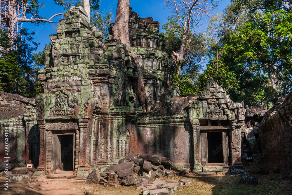 The ruins of Ta Prohm Buddist Temple, Siem Reap, Cambodia