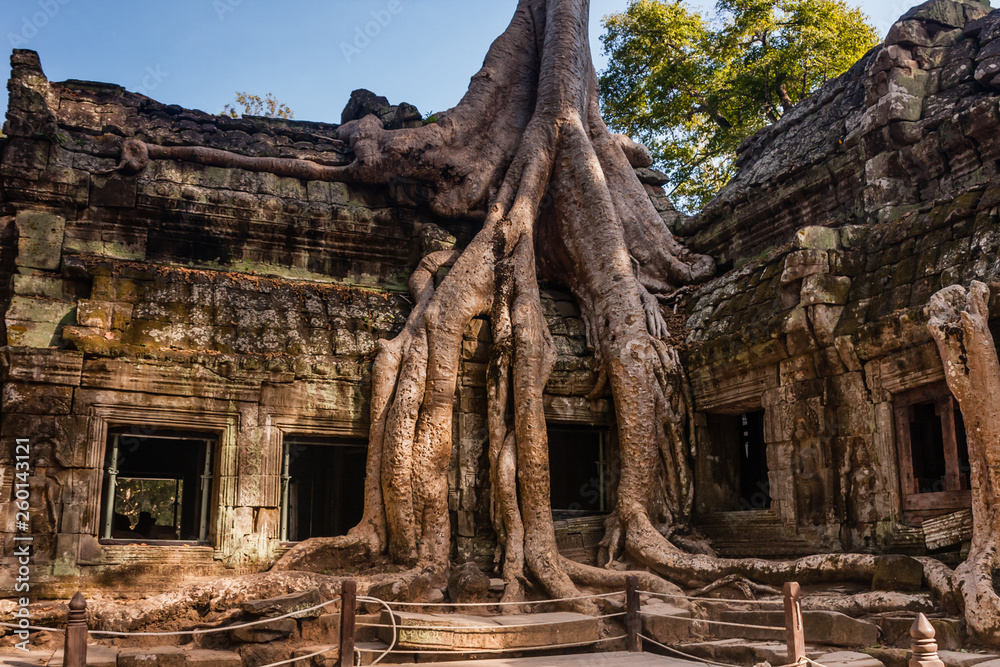Fototapeta premium The ruins of Ta Prohm Buddist Temple, Siem Reap, Cambodia