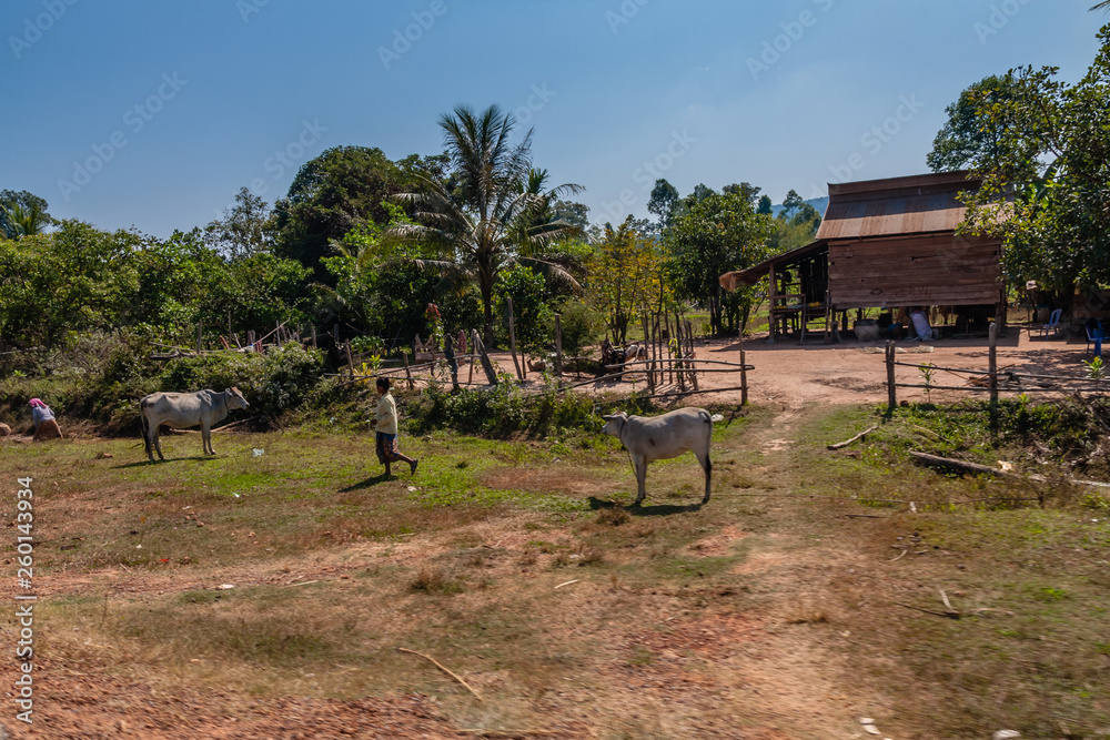 A typical village dwelling in Siem Reap Province, Cambodia