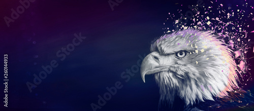 Eagle painting background, violet