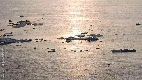 Wallpaper Mural Ice floe floats in water, fragments of ice on the river in spring, ice drift Torontodigital.ca