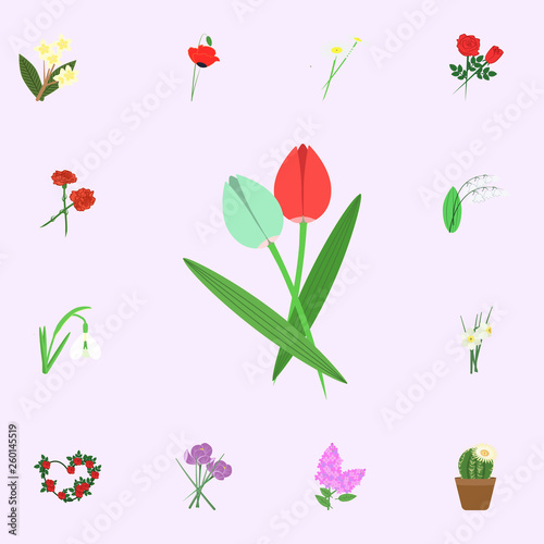 Tulip flowers red and white color icon. flowers icons universal set for web and mobile