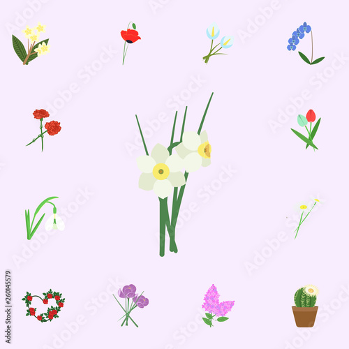 Daffodil flowers white color icon. flowers icons universal set for web and mobile