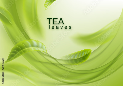 Green tea. Abstract background with tea leaves. Vector illustration for design, advertising, packaging of tea products.
