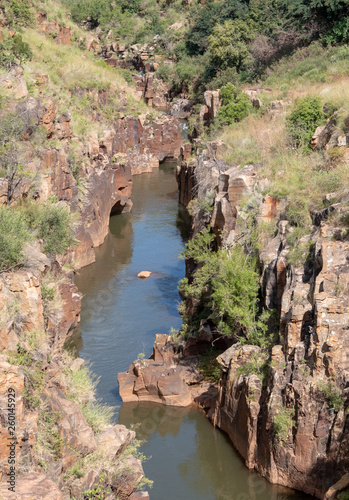 Bourke s Luck potholes  Blyde River Canyon near Graskop  Mpumalanga  South Africa. 