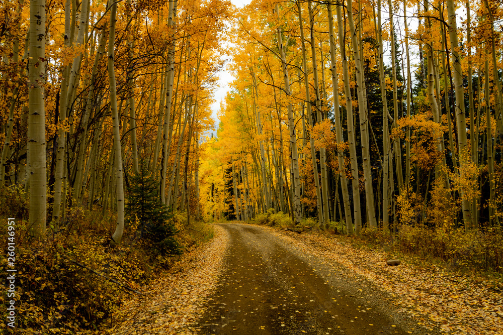 Autumn Color in San Juan and Rocky Mountains of Colorado Autumn Color in San Juan and Rocky Mountains of Colorado