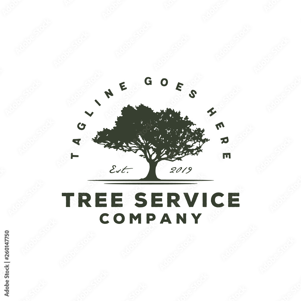 Oak Maple silhouette for Tree service residential landscape vintage logo design