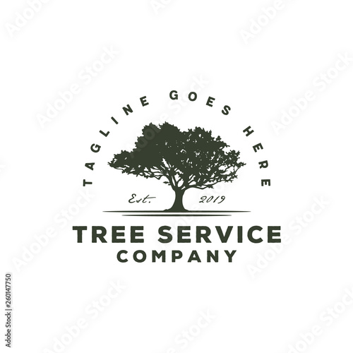 Oak Maple Beech silhouette for Tree service residential landscape vintage logo design