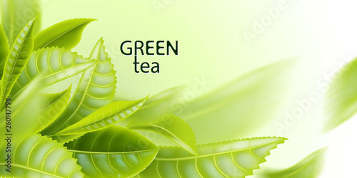 Green tea. Tea leaves background. Element for design, advertising, packaging of tea products. Vector illustration. 