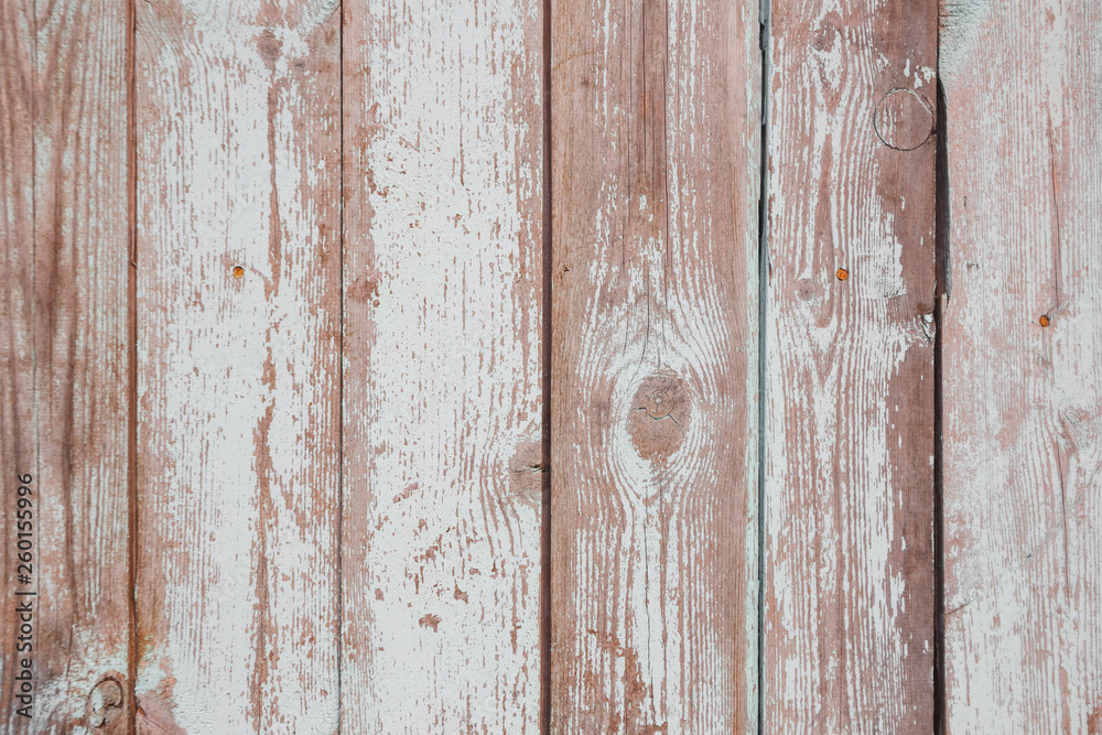 The texture of the old shabby fence of painted white paint boards The texture of the old shabby fence of painted white paint boards