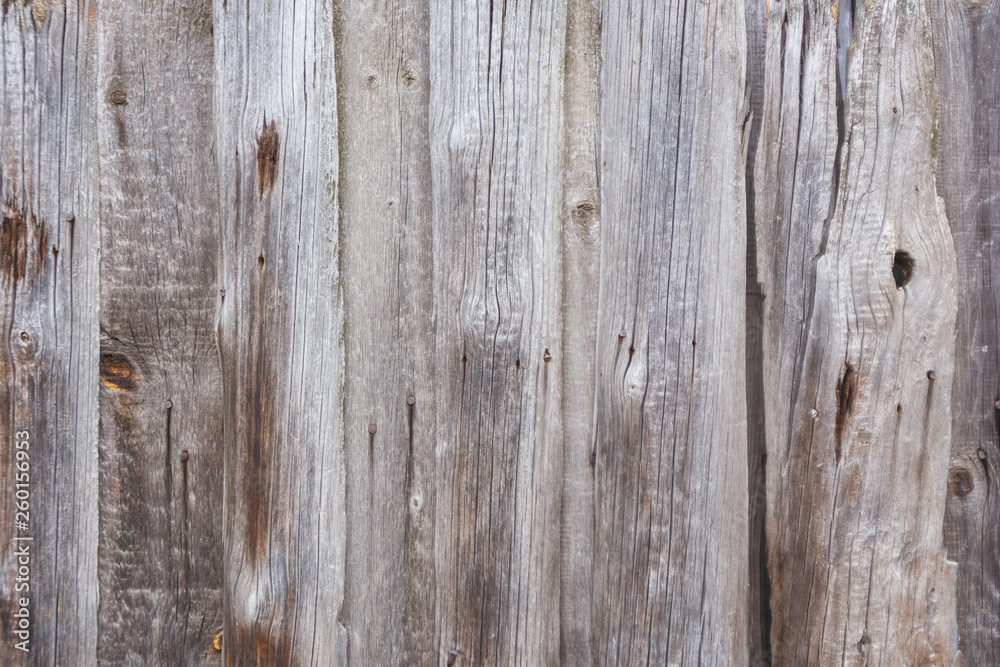 Fototapeta premium Texture of gray beige old smooth wood. Plank fence