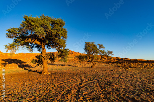 Sossusvlei Namib Namibia