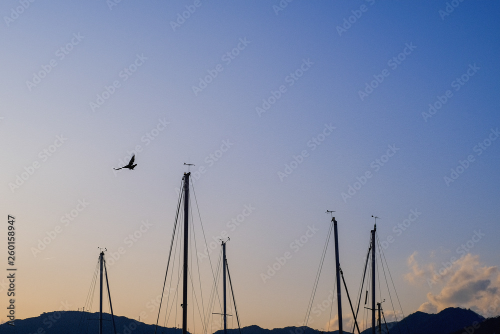 港の夕焼け、飛び立つ鳥
