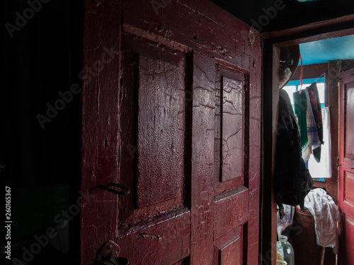 Ukrainian village house interior (entrance door with cracked paint) © Timur