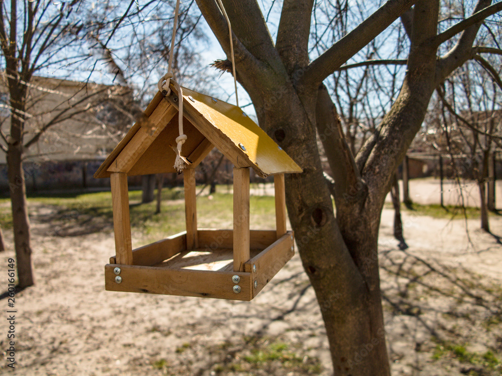Handmade bird feeder hung on the tree branch Handmade bird feeder hung on the tree branch