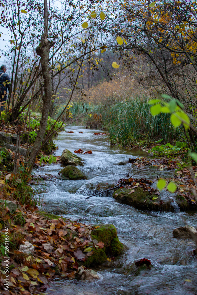 Obraz premium プリトヴィツェ湖群国立公園
