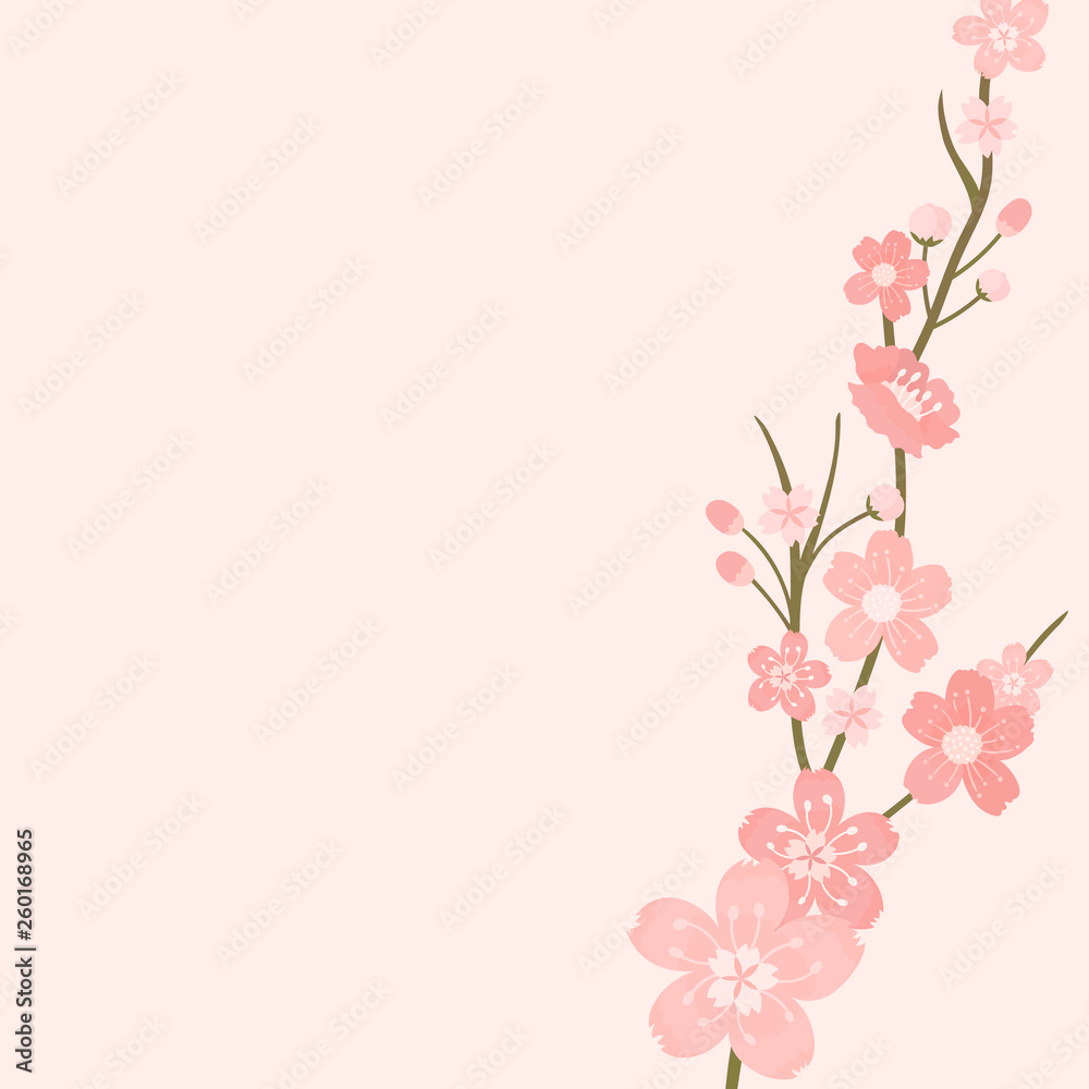 Cherry blossom background illustration
