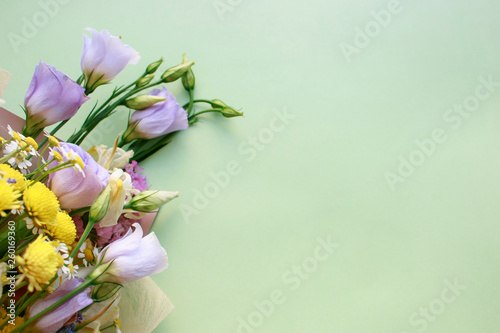 Spring flowers on pastel green background.