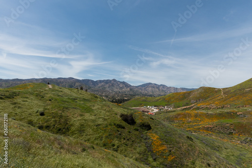 Beautiful superbloom vista in the Walker Canyon mountain range near Lake Elsinore, Southern California