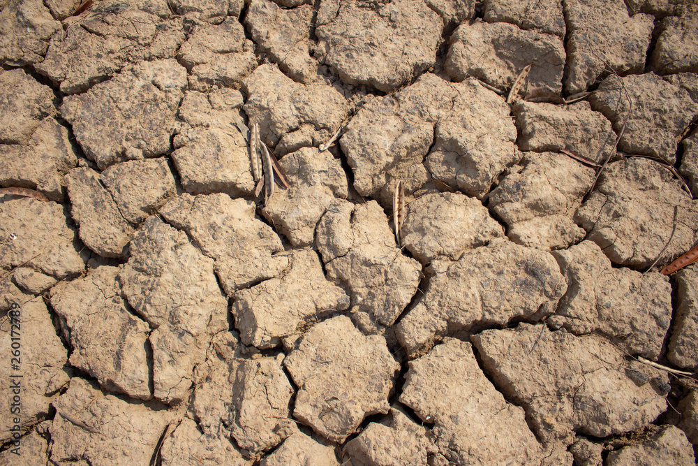 Fototapeta premium Land with dry and cracked ground
