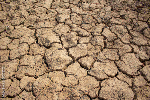 Land with dry and cracked ground