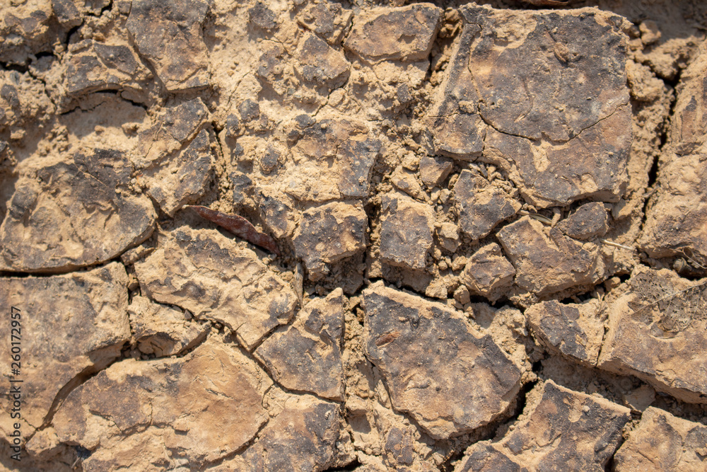 Land with dry and cracked ground Land with dry and cracked ground