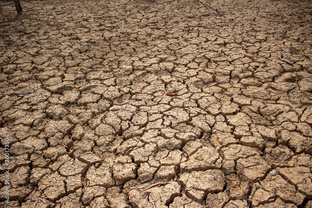 Land with dry and cracked ground Land with dry and cracked ground