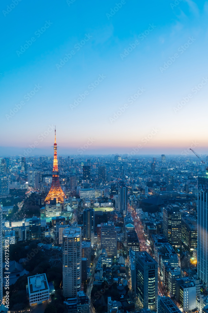 Fototapeta premium 東京風景