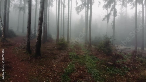 Spooky halloween forest where one expects a monster behind the trees. Aerial shot where the drone flies through the woods on a moddy evening. Fog and mist is covering the area. photo