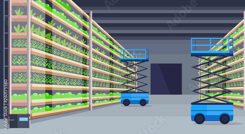 hydraulic scissors lift platforms in modern organic hydroponic vertical farm interior agriculture farming system concept green plants growing industry horizontal flat