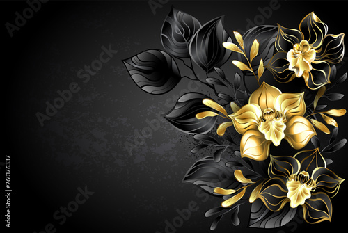 Black background with black orchid