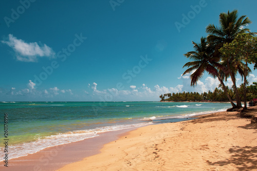 Fototapeta Naklejka Na Ścianę i Meble -  Beautiful wild and tropical beach in Las Terrenas, Dominican Republic; a corner of èaradise