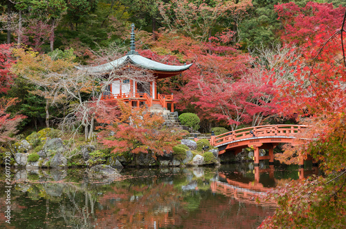 Idyllic landscape of Beautiful japanese garden with colorful maple trees in Daigoji temple in autumn season, Kyoto, Japan