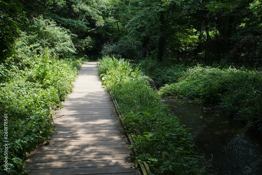 Obraz premium 遊歩道