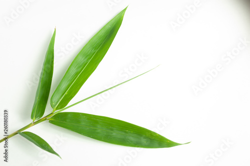Fototapeta Naklejka Na Ścianę i Meble -  bamboo leaf isolated white background