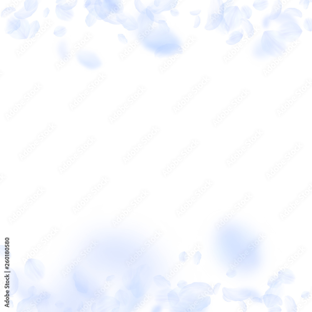 Light blue flower petals falling down. Breathtakin Light blue flower petals falling down. Breathtakin