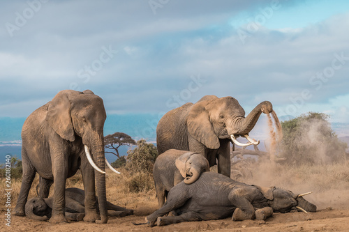 Elephants Spa Time! © Nilesh